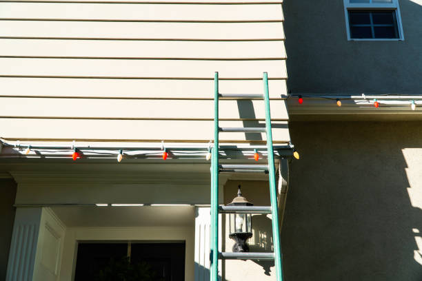 Best Stone Veneer Siding  in Underwood Petersville, AL