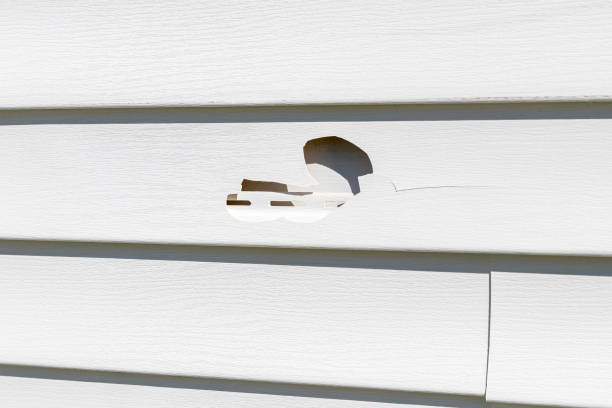 Best Stucco Siding  in Underwood Petersville, AL