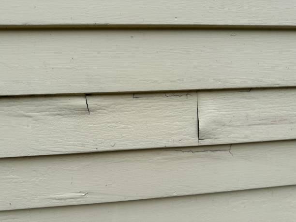 Best Residential Vinyl Siding Installation  in Underwood Petersville, AL